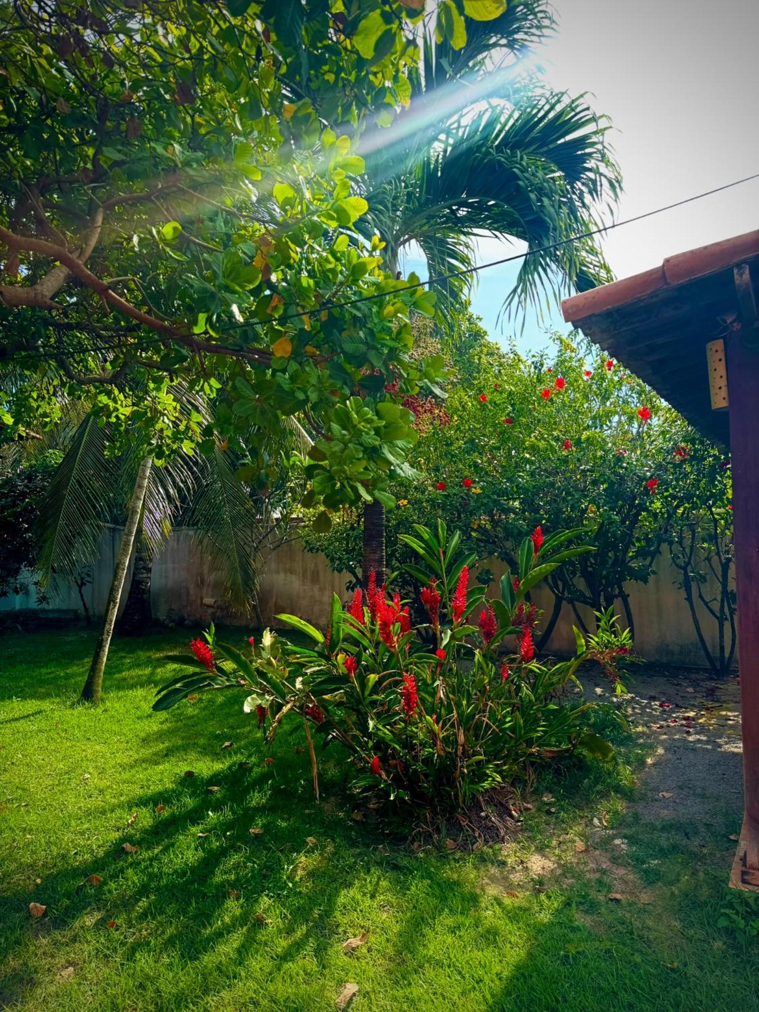 Pousada Vila Caju São Miguel do Gostoso Exterior foto